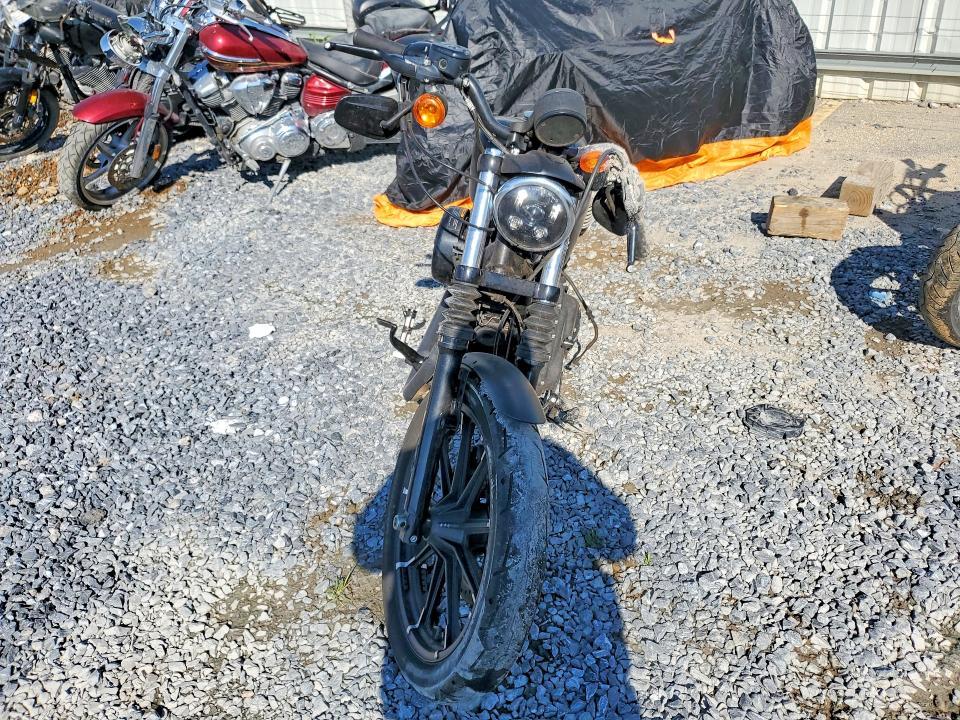 2019 Harley-Davidson XL883 N