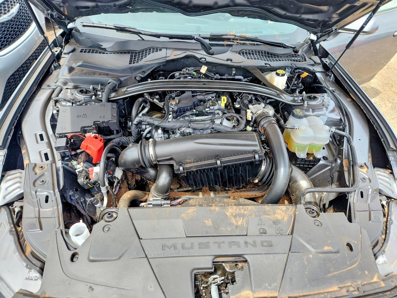 2026 Ford Mustang