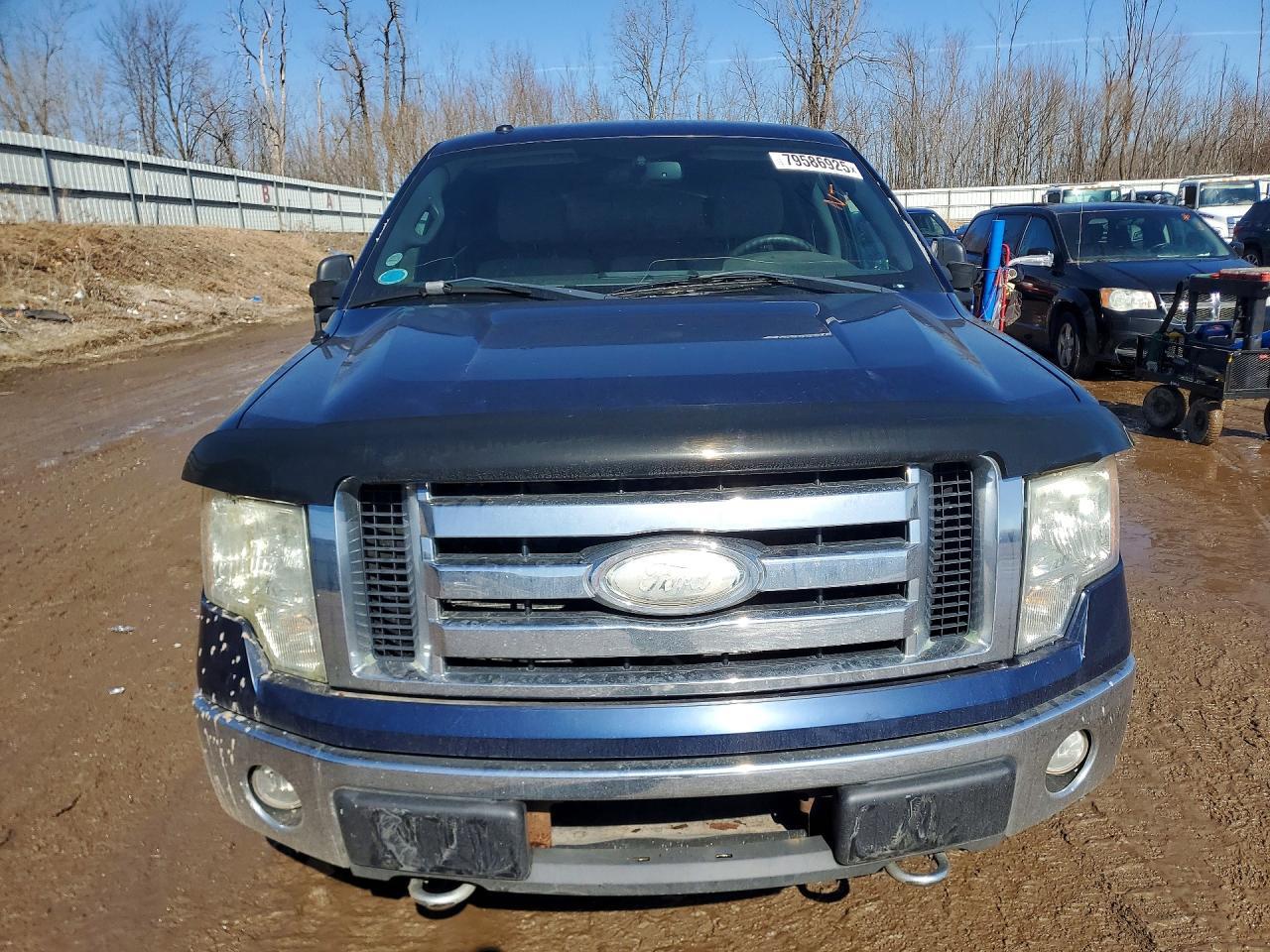 2009 Ford F150