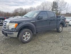Ford salvage cars for sale: 2009 Ford F150 Supercrew