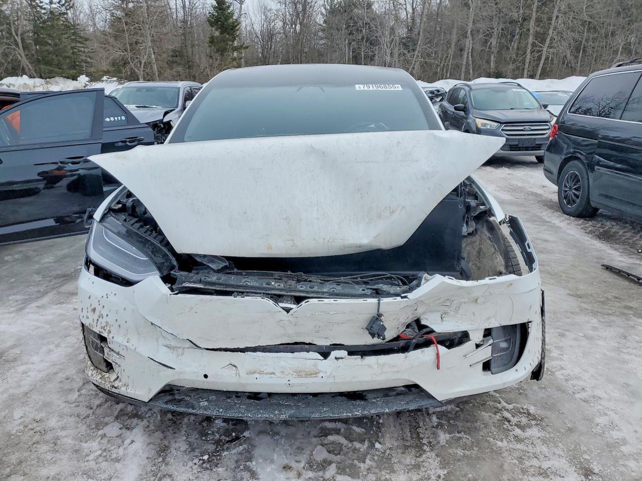 2019 Tesla Model x