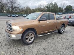 2011 Dodge RAM 1500 en venta en Madisonville, TN
