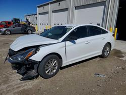 2019 Hyundai Sonata se for sale in Greenwood, NE