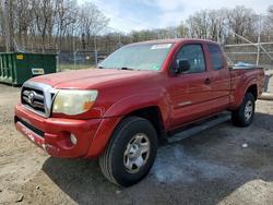 Salvage trucks for sale at Baltimore, MD auction: 2005 Toyota Tacoma V6