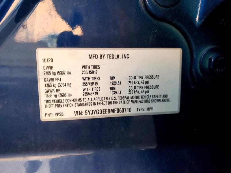 2021 Tesla Model y