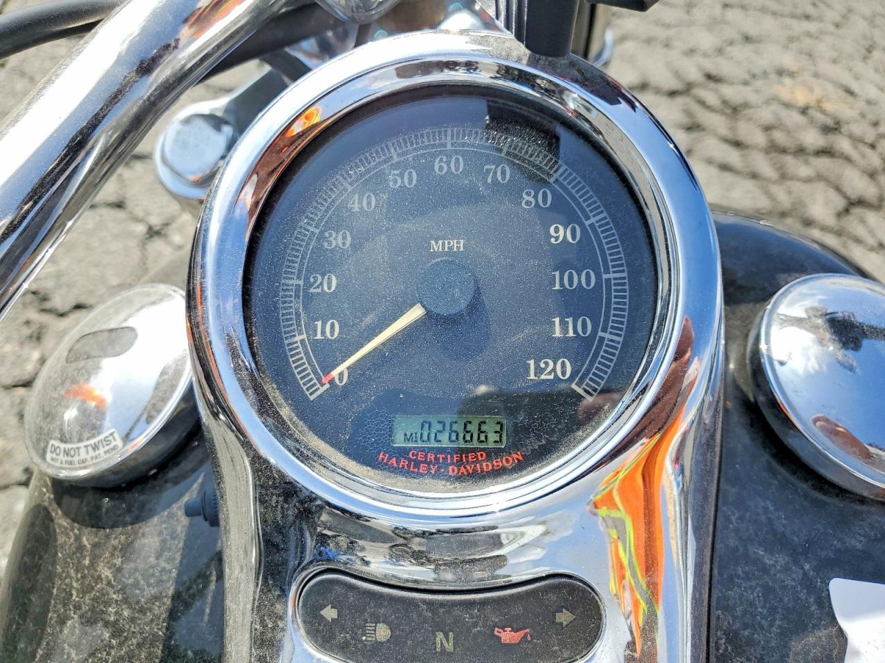 2006 Harley-Davidson Fxstdi