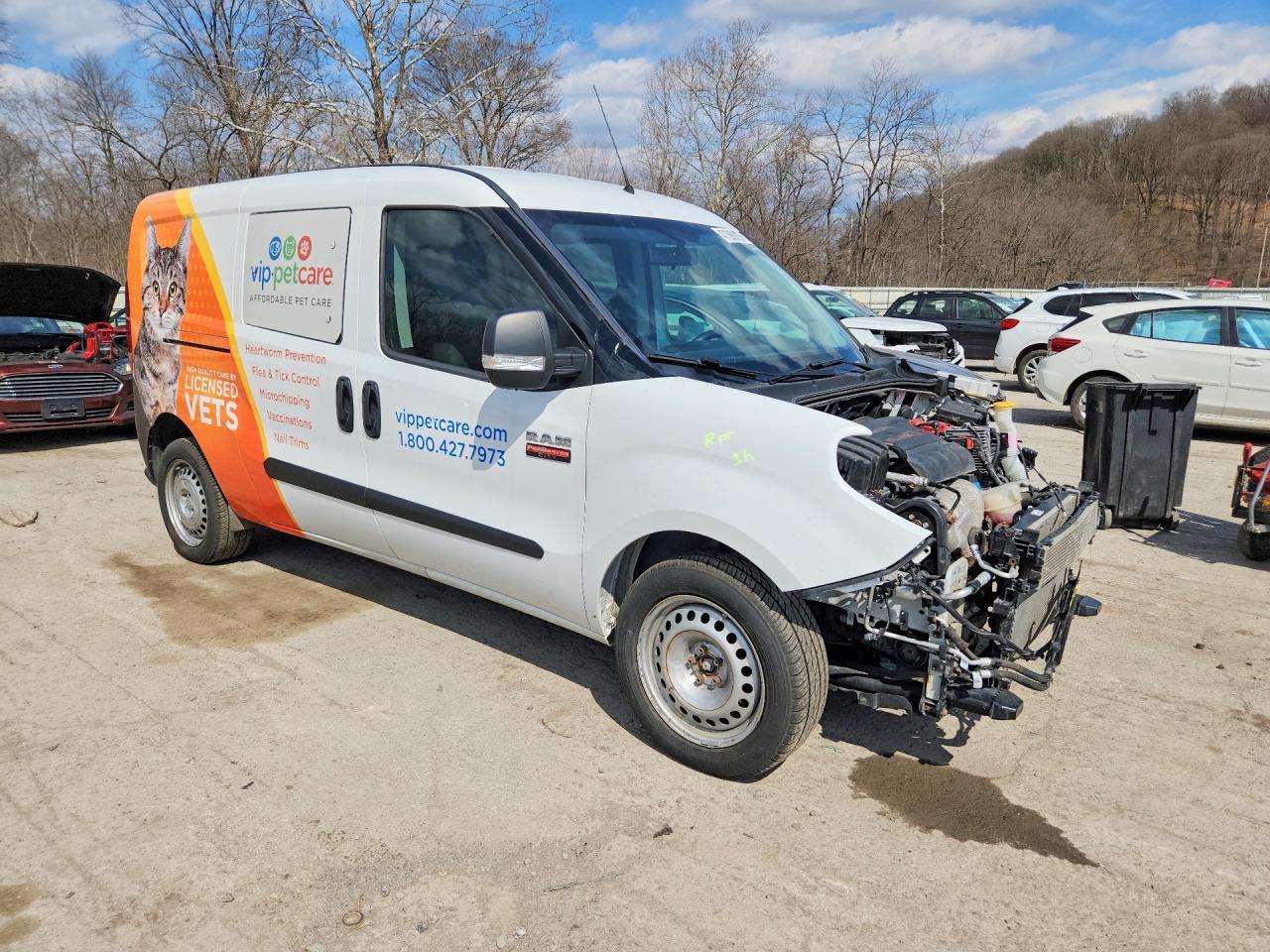 2019 Dodge RAM Promaster City