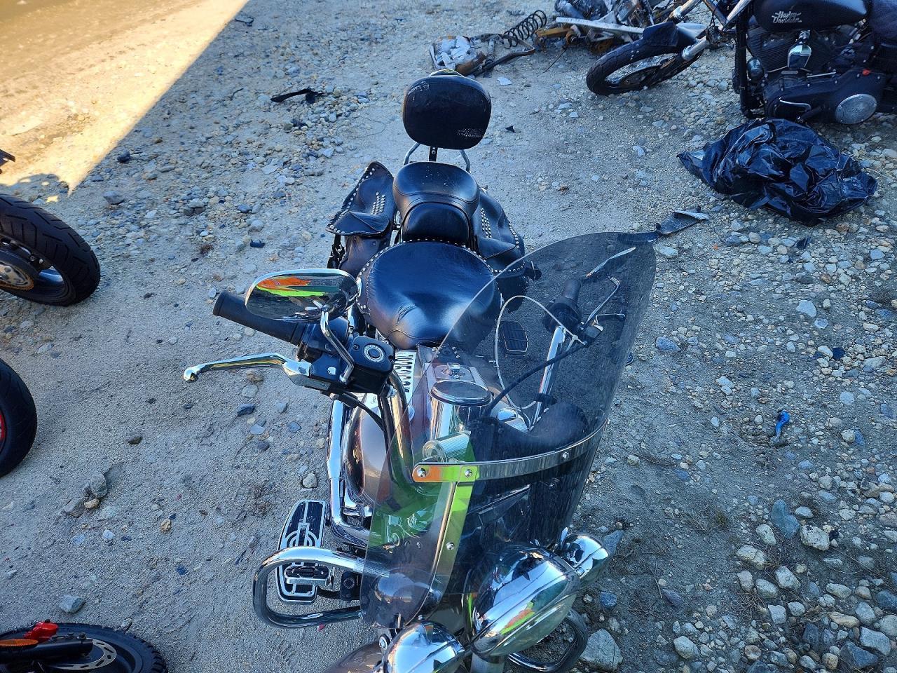 2005 Harley-Davidson Flstci