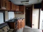 2012 Foresriver XLR-Trailer Other