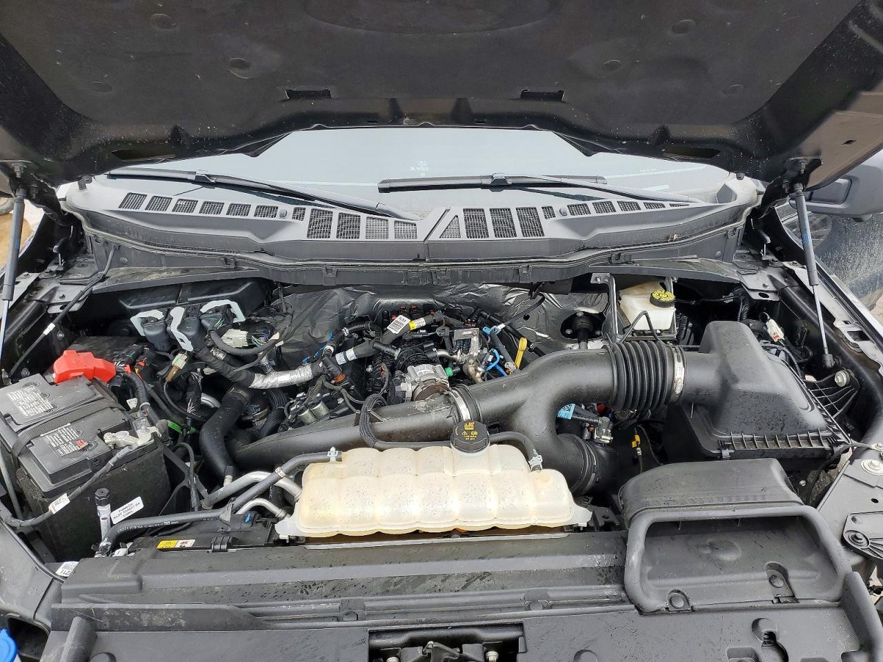 2024 Ford F150 XLT