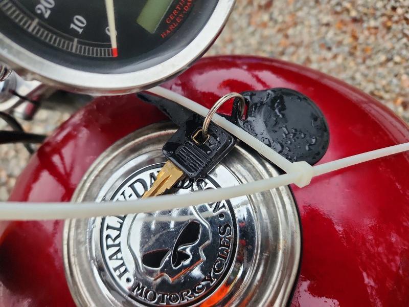 2005 Harley-Davidson XL1200 C