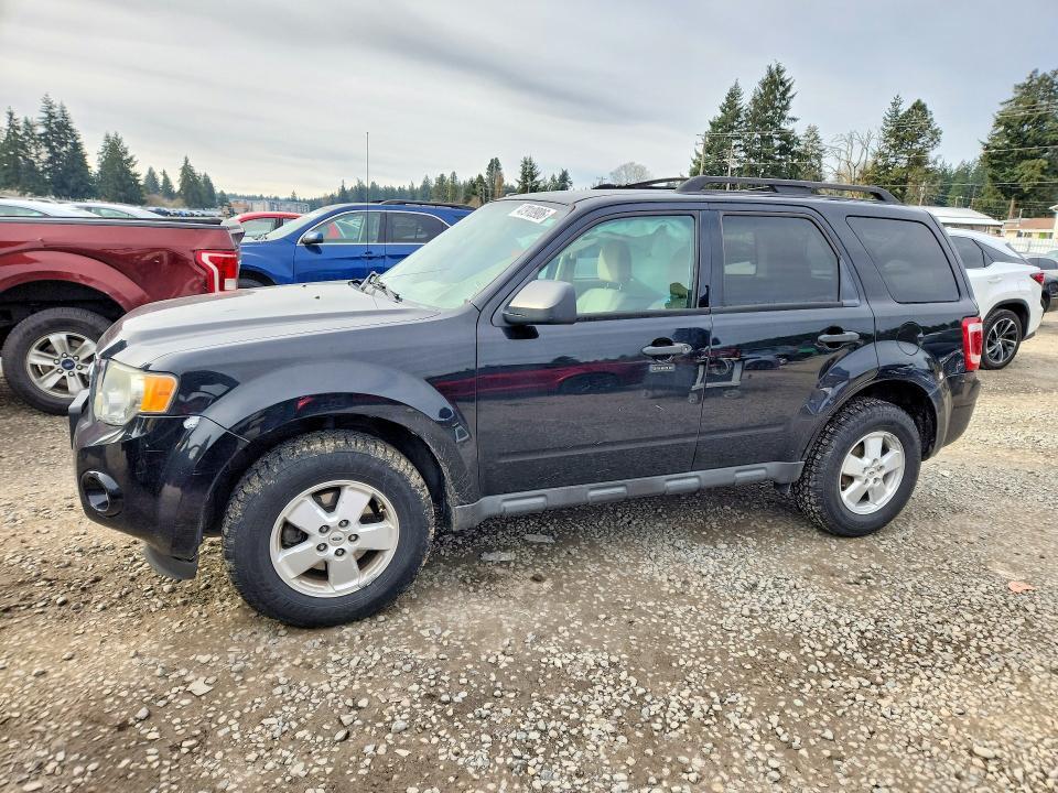 2010 Ford Escape xlt
