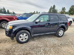 Ford salvage cars for sale: 2010 Ford Escape xlt