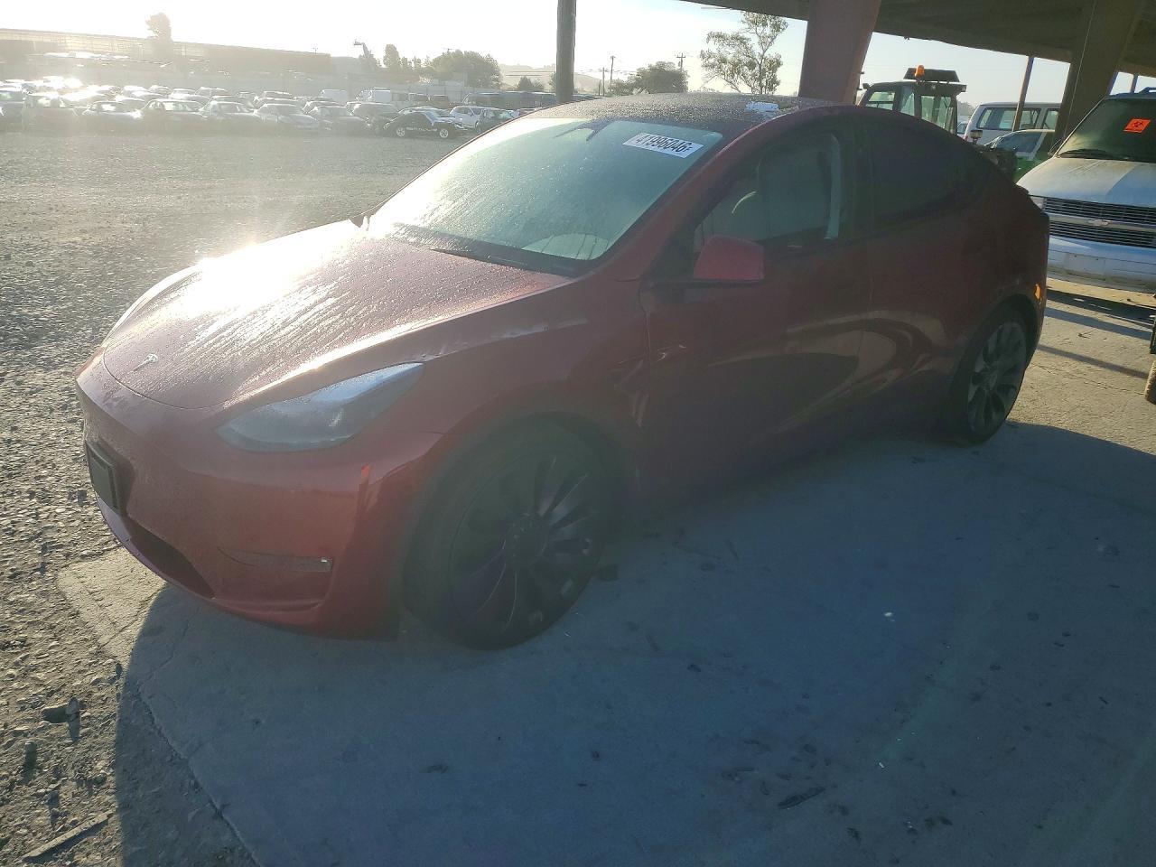 2024 Tesla Model y
