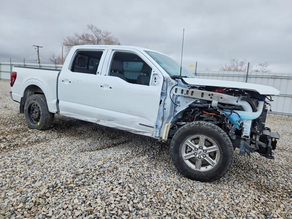 2024 Ford F150 xlt