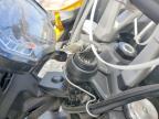 2026 Triumph Tiger