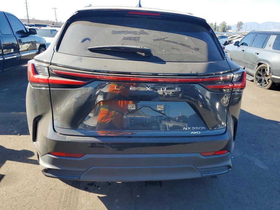 2024 Lexus Nx 350h Base