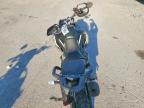 2022 Triumph Tiger 900 Rally