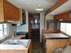 2005 Georgetown 2005 Pursuit RV