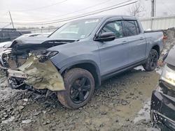 2023 Honda Ridgeline Black Edition for sale in Windsor, NJ