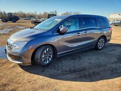 2023 Honda Odyssey exl en venta en New Britain, CT