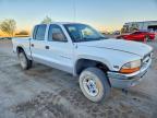 2000 Dodge Dakota Quattro