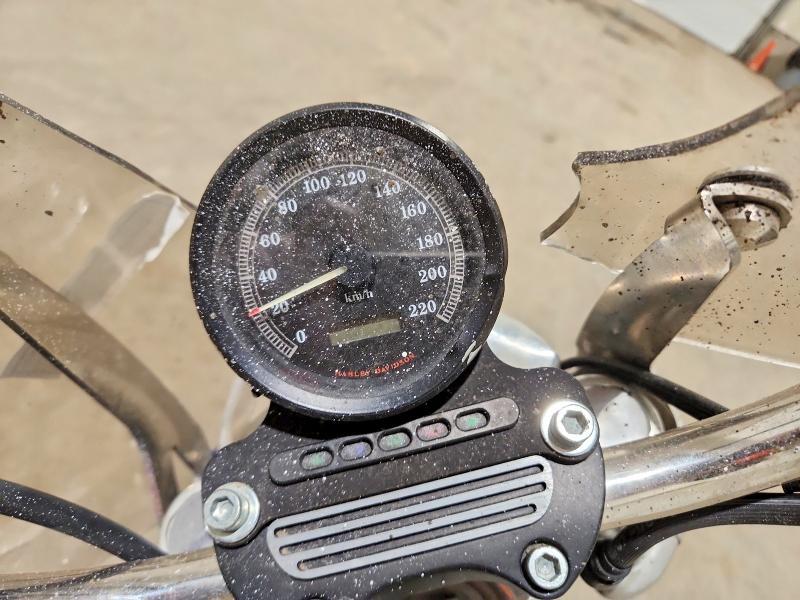1998 Harley-Davidson Xl883 Hugger