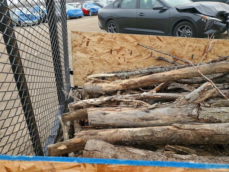 2025 Carry-On Utility Trailer