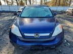 2007 Honda Cr-v ex