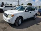 2010 Ford Escape xls