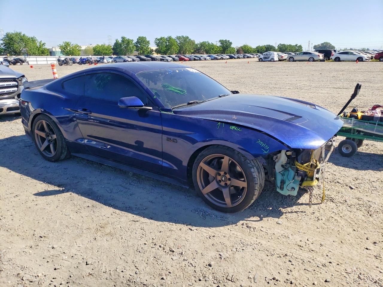 2019 Ford Mustang gt