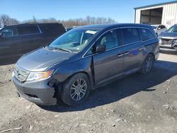Honda salvage cars for sale: 2013 Honda Odyssey ex