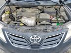 2010 Toyt Camry