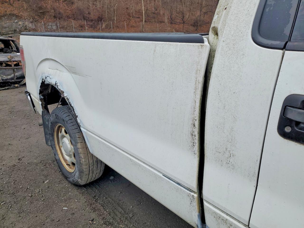 2010 Ford F150