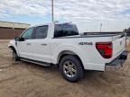 2025 Ford F150 XLT