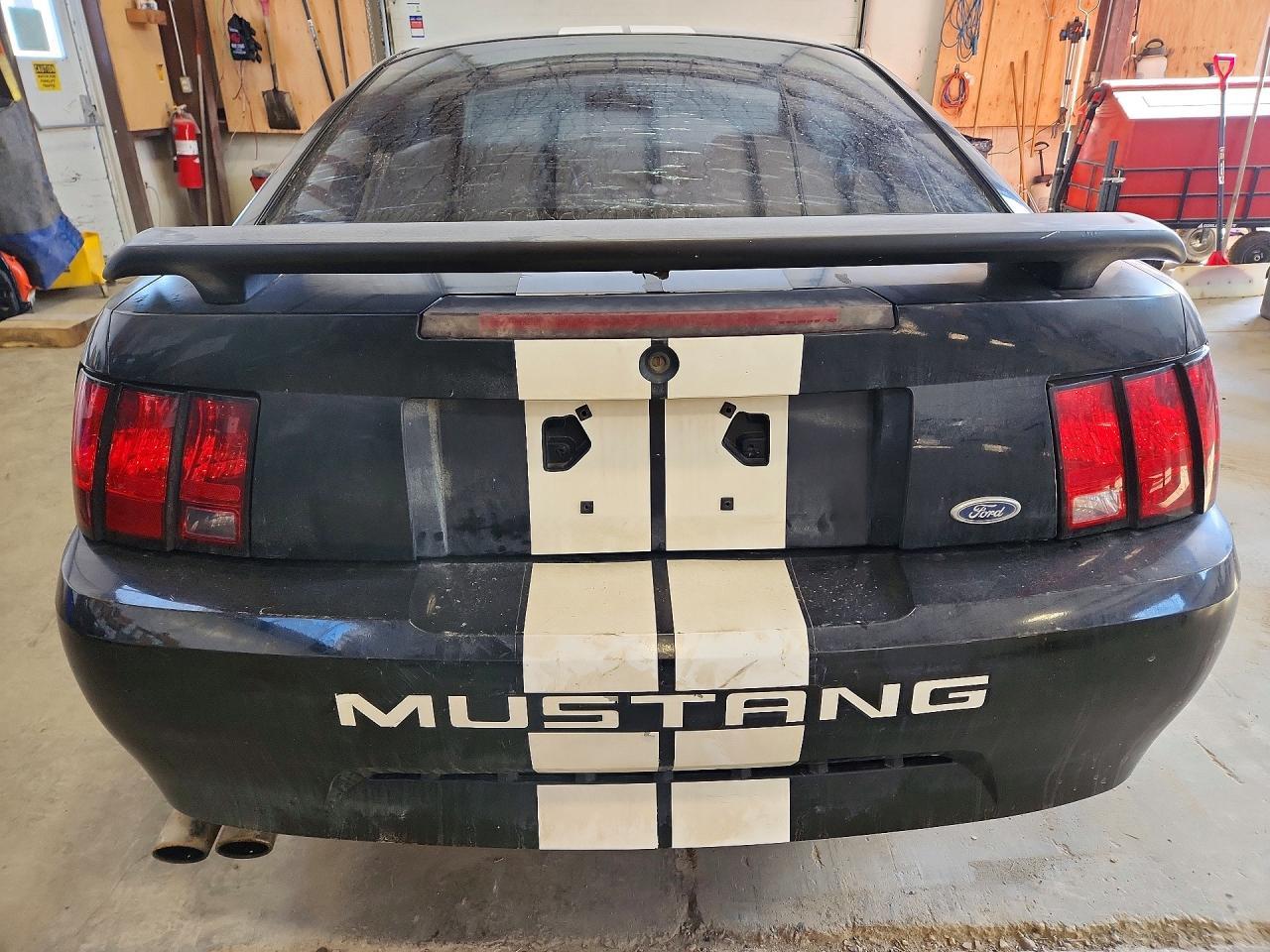 2003 Ford Mustang