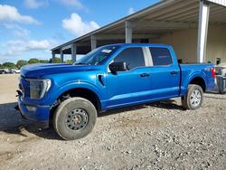 Salvage trucks for sale at Homestead, FL auction: 2023 Ford F150 Supercrew