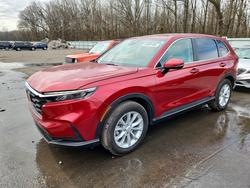 2025 Honda Cr-v exl for sale in Glassboro, NJ