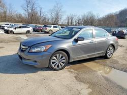 2012 Honda Accord exl for sale in Ellwood City, PA