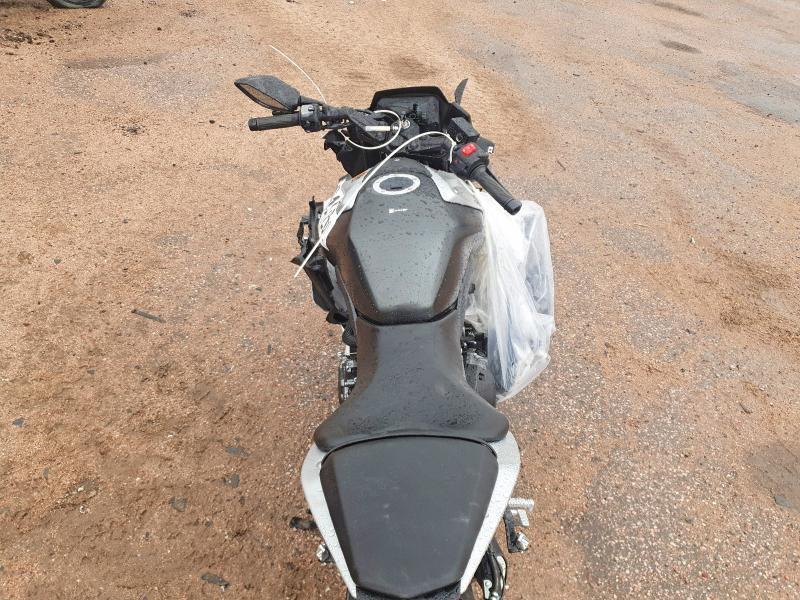 2024 Suzuki Gsx800 f