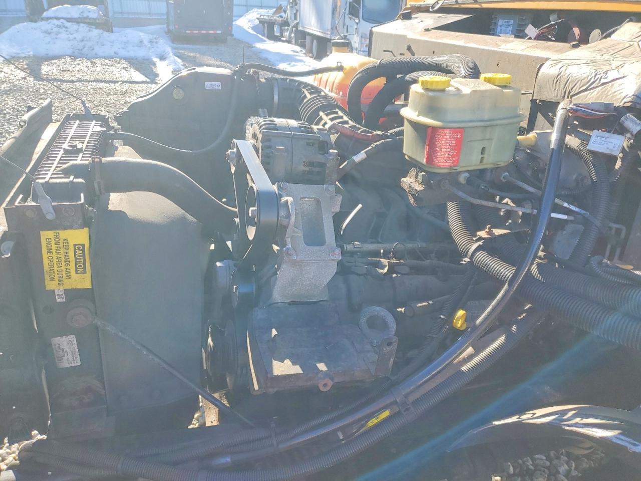 2020 Blubird School Bus / Transit Bus