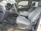 2024 Ford F150 XL