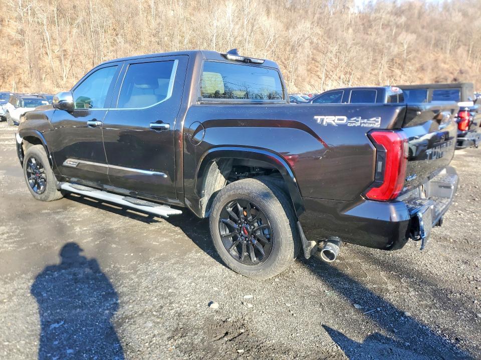 2024 Toyota Tundra 1794 Edition HV