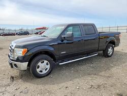 Salvage trucks for sale at Cahokia Heights, IL auction: 2012 Ford F150 Supercrew