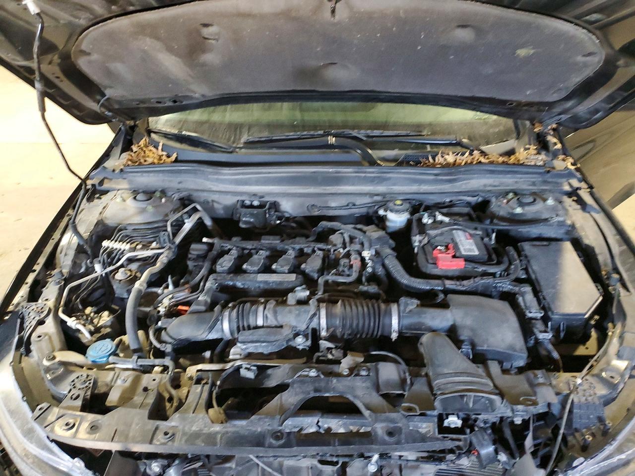 2019 Honda Accord