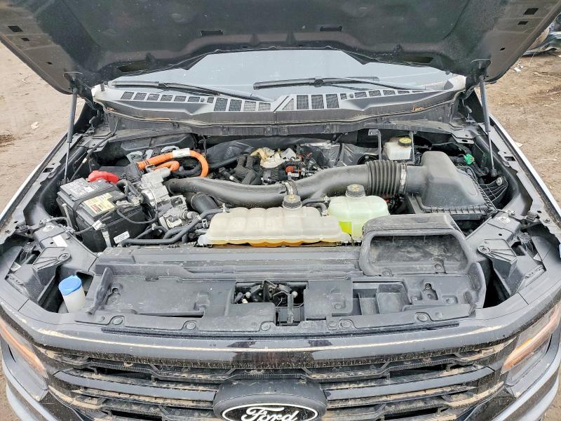2024 Ford F150 xlt