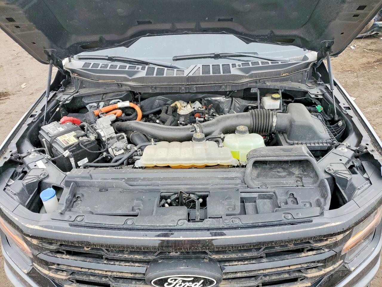 2024 Ford F150 XLT