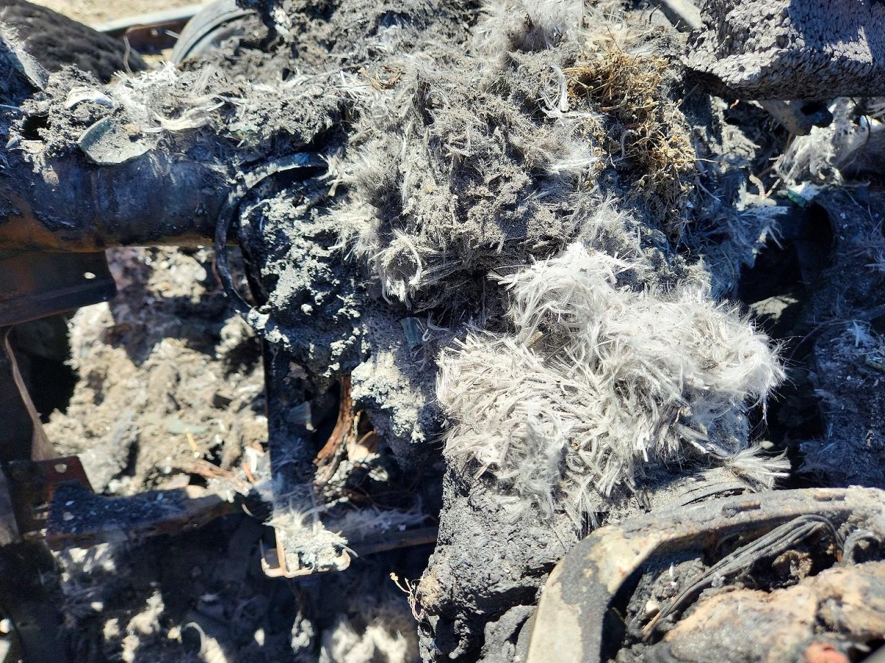 2017 Ford F150 Raptor