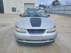 1999 Ford Mustang gt