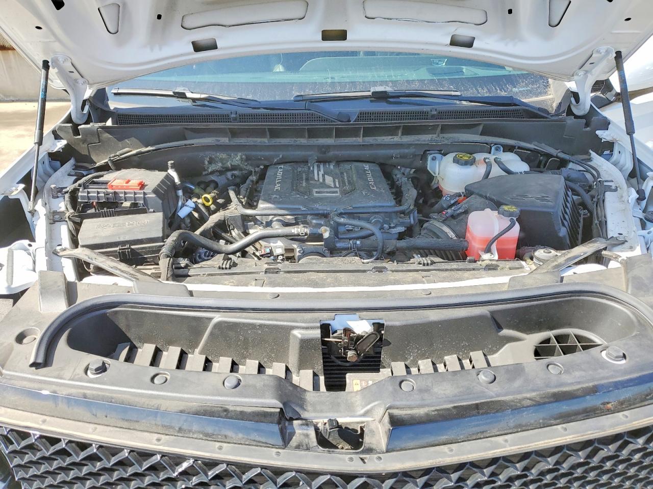 2023 Cadillac Escalade v Sport